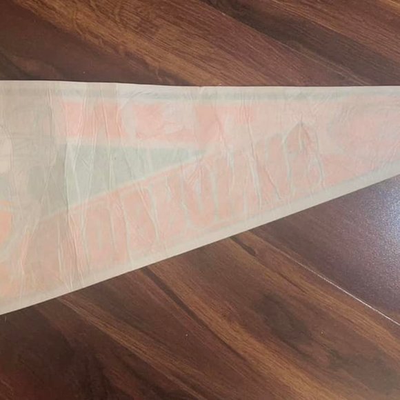 Cleveland Browns NFL  FUN PAK Pennant~Button~Sticker ~~WinCraft official VINTAGE - Picture 8 of 9